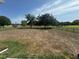 Backyard with a partial view of a golf course, grass lawn, and surrounding trees at 33818 Venice Ln, Sorrento, FL 32776