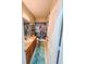 Bathroom with vanity, sink, mirror, mermaid-themed shower curtain, and decorative items displayed on shelves at 33818 Venice Ln, Sorrento, FL 32776