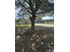 Well-maintained exterior with an expansive yard, surrounded by mature trees providing ample shade at 33818 Venice Ln, Sorrento, FL 32776