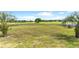 Spacious backyard with green grass and a golf course view, framed by palm trees at 36455 Clara St, Eustis, FL 32736