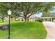 Beautiful home with a manicured front lawn, mature tree, and a convenient carport at 36455 Clara St, Eustis, FL 32736