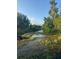 A view of a natural pond surrounded by lush greenery and trees, creating a serene and peaceful environment at 507 Bates Ave, Eustis, FL 32726