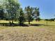 A sprawling green backyard, perfect for outdoor activities, bordered by lush trees at 608 Saint Andrews Blvd, Lady Lake, FL 32159