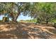 Expansive backyard landscape with tree shade, showcasing the lot's potential and privacy at 6750 Sunnyside Dr, Leesburg, FL 34748