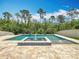 Backyard pool area showcases a fountain feature and mature trees at 8530 Vivaro Isle Way, Windermere, FL 34786
