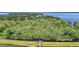 View of lake and treeline bordering neighborhood, accessible by community walking paths at 1155 Dora Parc Ln, Mount Dora, FL 32757