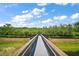 View of home's access to community walkway out to the lake and natural habitat at 1155 Dora Parc Ln, Mount Dora, FL 32757