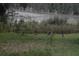 Peaceful backyard overlooking a lake with natural vegetation and wildlife at 17873 E Highway 40, Silver Springs, FL 34488