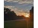 Scenic view of the Florida landscape at sunset with a beautiful sky at 17873 E Highway 40, Silver Springs, FL 34488