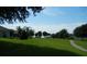 A sprawling backyard offers lush greenery and mature trees, with glimpses of the serene lake beyond at 3001 Lake Huron Ln, Tavares, FL 32778