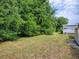Backyard featuring lush greenery and a grassy lawn area at 32521 W Golf Ct, Leesburg, FL 34748