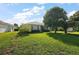 Backyard showcases a spacious green lawn and mature landscaping, providing a serene outdoor living space at 5604 Gulf Stream St, Tavares, FL 32778