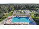Aerial view of community pool with lounge chairs and tables, surrounded by palm trees and green landscaping at 5618 Rosewall Cir, Leesburg, FL 34748