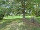 Scenic backyard view featuring a mature tree and access to a lush green landscape at 563 Dowling Cir, Lady Lake, FL 32159