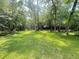 Vast green lawn ideal for outdoor activities, surrounded by a dense tree line at 606 Hamilton Dr, Orlando, FL 32833