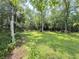 Expansive green backyard with mature trees, great for recreation and relaxation at 606 Hamilton Dr, Orlando, FL 32833