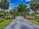 Long, gated driveway leading to a beautiful property with lush landscaping and mature trees at 11226 Lane Park Rd, Tavares, FL 32778