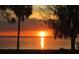 Picturesque sunset over a calm lake with silhouette of trees in the foreground at 11226 Lane Park Rd, Tavares, FL 32778