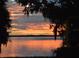 Scenic sunset over the tranquil lake, framed by lush greenery and silhouettes at 11226 Lane Park Rd, Tavares, FL 32778