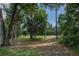 Expansive backyard with mature trees and lush greenery at 179 Birchmont Dr, Deland, FL 32724