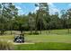 Golf course view with a person teeing off, a golf cart is also visible at 179 Birchmont Dr, Deland, FL 32724