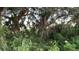 Lush foliage and large trees adorn this property, offering a private and serene outdoor space at 2204 Baypoint Way, The Villages, FL 32162