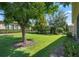 Professionally landscaped backyard features lush green lawn, mature trees, and privacy hedges at 2602 Stargrass Cir, Clermont, FL 34715