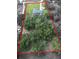 An aerial view of a residential property with lush landscaping, a private pool, and a defined property line at 3380 Blossom St, Kissimmee, FL 34746