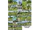 Abundance of fruit trees listed at 3380 Blossom St. Kissimmee at 3380 Blossom St, Kissimmee, FL 34746