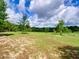 Expansive grassy land with mature trees and clear blue skies at 37149 Grays Airport, Lady Lake, FL 32159