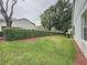 Well-maintained backyard featuring lush grass, privacy hedges, and mature trees at 3821 Doune Way, Clermont, FL 34711