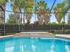 Relaxing screened in pool area with mature landscaping, including multiple tropical palm trees at 631 Independence Path, The Villages, FL 32163