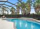 Enclosed pool area featuring a waterfall, blue water and several mature tropical palm trees at 631 Independence Path, The Villages, FL 32163