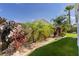 Beautiful backyard landscape with mature tropical foliage, manicured lawn, brick border, and decorative rock at 898 Abaco Path, The Villages, FL 32163