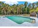 In-ground pool, with a dark fence, surrounded by lush greenery and palm trees at 9023 Silver Lake Dr, Leesburg, FL 34788
