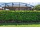 A green hedge surrounds the screened-in lanai in this home's backyard at 453 Treviso Dr, Poinciana, FL 34759