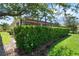Landscaped backyard featuring an enclosed porch and a tall privacy hedge at 453 Treviso Dr, Poinciana, FL 34759