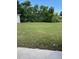 The expansive backyard features lush greenery and ample space for outdoor activities at 1022 E 3Rd Ave, Mount Dora, FL 32757