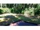Lush green backyard with mature trees, providing shade and privacy, creating a serene outdoor retreat at 1225 E 1St Ave, Mount Dora, FL 32757