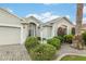 Inviting front entrance with a well-manicured lawn, palm tree, and elegant landscaping at 1521 Southport St, The Villages, FL 32162