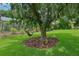 Vast backyard with lush lawn, mature trees and scenic landscape at 1930 Country Club Rd, Eustis, FL 32726