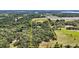 Aerial view of a large, green lot with an approximate boundary in a beautiful, lush, treed area at 19703 Lake Lincoln Ln, Eustis, FL 32736