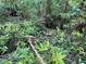 A creek/stream trickles through the back of this parcel of land, giving it a great natural feature at 19703 Lake Lincoln Ln, Eustis, FL 32736