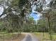 Pavered driveway leads to your homesite, canopied by mature trees with Spanish moss at 19703 Lake Lincoln Ln, Eustis, FL 32736