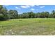 Sprawling green property ready for use at 19703 Lake Lincoln Ln, Eustis, FL 32736