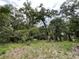 Beautiful wooded lot with mature trees offering a private and serene setting for your dream home at 19703 Lake Lincoln Ln, Eustis, FL 32736
