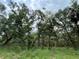 Picturesque treed homesite is ready for development, offering seclusion and a tranquil environment in a desirable location at 19703 Lake Lincoln Ln, Eustis, FL 32736