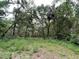 Scenic vacant land with dense trees provides privacy and a natural backdrop for building your custom residence at 19703 Lake Lincoln Ln, Eustis, FL 32736