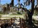 Charming landscaped front yard, featuring a wooden walkway and mature trees, enhancing the curb appeal of the property at 2001 Bates Ave, Eustis, FL 32726