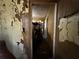 View of a damaged hallway, revealing peeling paint and a deteriorated interior, highlighting the property's neglected condition at 2001 Bates Ave, Eustis, FL 32726